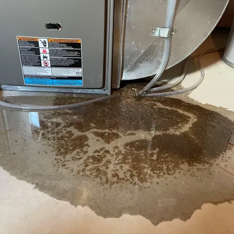 Appliance Leak Cleanup in Olimpo, PR